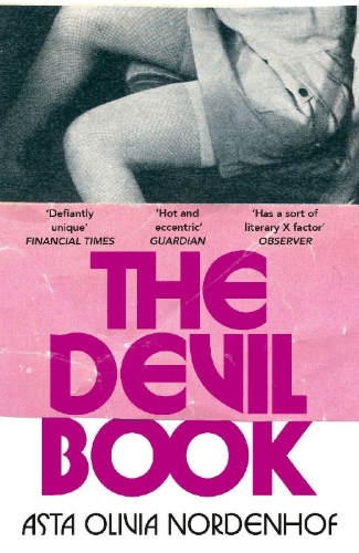 Buchcover und Innenansicht für das Buch: The Devil Book
