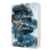 Buchcover und Innenansicht für das Buch: When We Burn Like Ice