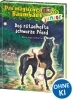 Buchcover und Innenansicht für das Buch: Das magische Baumhaus junior (Band 42) - Das rätselhafte schwarze Pferd