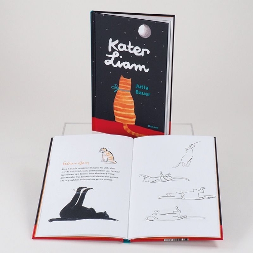 Buchcover und Innenansicht für das Buch: Kater Liam