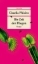Buchcover und Innenansicht für das Buch: El tiempo de las moscas
