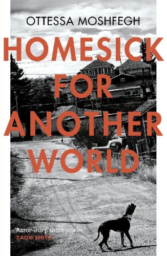 Buchcover und Innenansicht für das Buch: Homesick For Another World