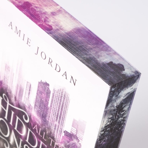 Buchcover und Innenansicht für das Buch: All the Hidden Monsters