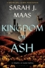 Buchcover und Innenansicht für das Buch: Kingdom of Ash