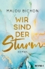 Buchcover und Innenansicht für das Buch: Wir sind der Sturm