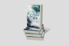 Buchcover und Innenansicht für das Buch: Found on Ice