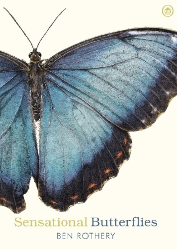 Buchcover und Innenansicht für das Buch: Sensational Butterflies