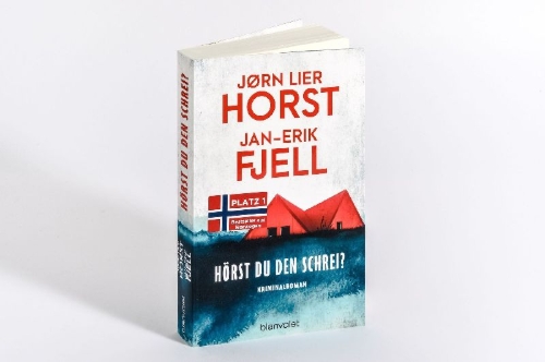 Buchcover und Innenansicht für das Buch: Skriket
