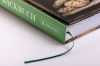Buchcover und Innenansicht für das Buch: Das Irland Backbuch