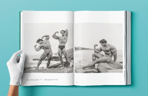 Buchcover und Innenansicht für das Buch: ARNOLD