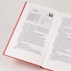 Buchcover und Innenansicht für das Buch: Volkswagen Blues