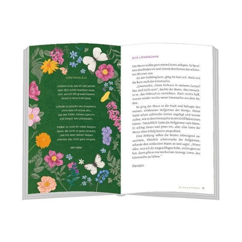 Buchcover und Innenansicht für das Buch: Zwischen Rüben und Kraut in den Himmel geschaut