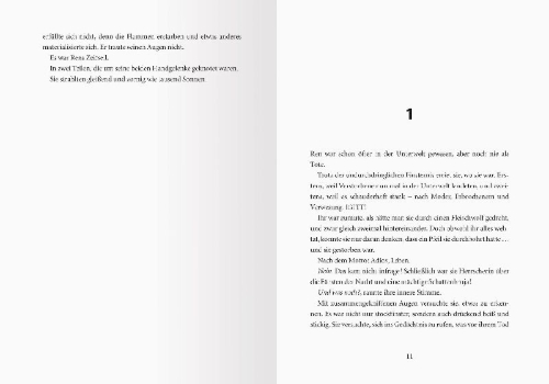 Buchcover und Innenansicht für das Buch: Dawn of the Jaguar