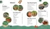 Buchcover und Innenansicht für das Buch: Keine Zeit zu gärtnern - Easy Ernteglück im Hochbeet
