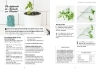 Buchcover und Innenansicht für das Buch: Regrow für Einsteiger