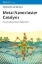 Buchcover und Innenansicht für das Buch: Metal Nanocluster Catalysis