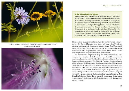 Buchcover und Innenansicht für das Buch: Fertig zum Einzug: Nisthilfen für Wildbienen