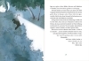 Buchcover und Innenansicht für das Buch: Mensch, Bär!