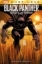 Buchcover und Innenansicht für das Buch: Blck Panther (2005) #1-#6