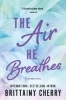 Buchcover und Innenansicht für das Buch: Air He Breathes