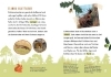 Buchcover und Innenansicht für das Buch: Dein Lesestart - Wald