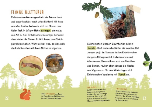 Buchcover und Innenansicht für das Buch: Dein Lesestart - Wald