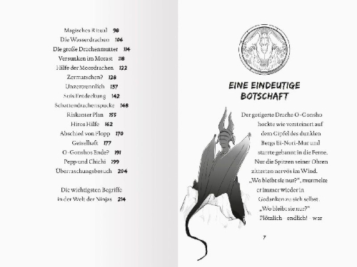 Buchcover und Innenansicht für das Buch: Dragon Ninjas, Band 6 - Der Drache des Wassers