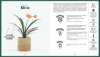 Buchcover und Innenansicht für das Buch: 50 Plantes Increvables