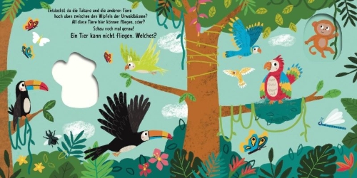 Buchcover und Innenansicht für das Buch: Schau, was passt genau? In den Urwäldern
