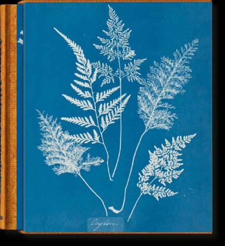 Buchcover und Innenansicht für das Buch: Anna Atkins