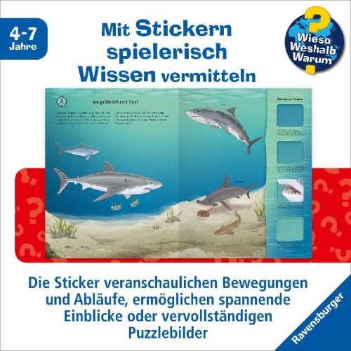 Buchcover und Innenansicht für das Buch: Wieso? Weshalb? Warum? Stickerheft - Meerestiere