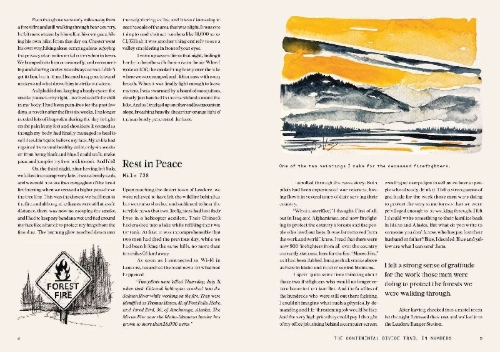 Buchcover und Innenansicht für das Buch: The Great Divide