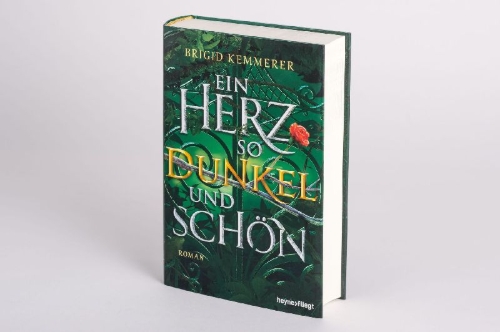 Buchcover und Innenansicht für das Buch: A Heart So Fierce and Broken