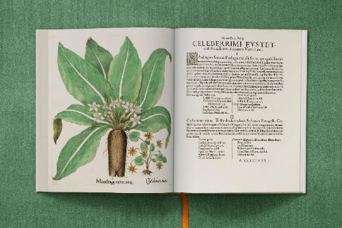 Buchcover und Innenansicht für das Buch: Besler. The Garden at Eichstätt
