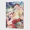 Buchcover und Innenansicht für das Buch: Dr. Stone