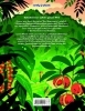 Buchcover und Innenansicht für das Buch: LONELY PLANET Bildband Legendäre Zugreisen