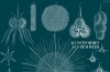 Buchcover und Innenansicht für das Buch: Ernst Haeckel