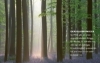 Buchcover und Innenansicht für das Buch: Das geheime Leben der Bäume