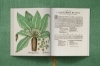 Buchcover und Innenansicht für das Buch: Basilius Besler. The Garden at Eichstätt