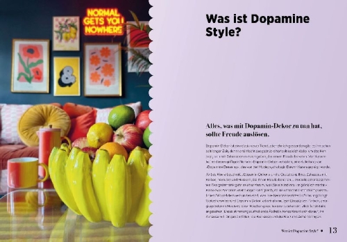Buchcover und Innenansicht für das Buch: Dopamine Style