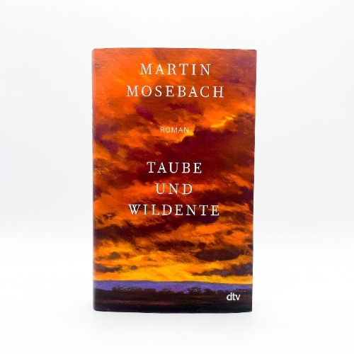 Buchcover und Innenansicht für das Buch: Taube und Wildente