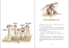 Buchcover und Innenansicht für das Buch: Tafiti - Ab durch die Wüste