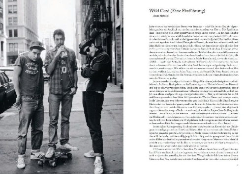 Buchcover und Innenansicht für das Buch: Beastie Boys Book