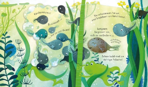 Buchcover und Innenansicht für das Buch: Guck mal, wer da ist! Das Leben im Teich