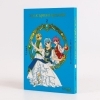 Buchcover und Innenansicht für das Buch: Mahou Kishi Rayearth