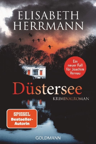 Buchcover und Innenansicht für das Buch: Düstersee