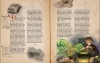 Buchcover und Innenansicht für das Buch: Zauberstäbe und ihre Geheimnisse