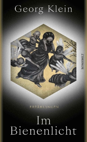 Buchcover und Innenansicht für das Buch: Im Bienenlicht