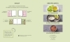 Buchcover und Innenansicht für das Buch: 1 Salat - 50 Dressings