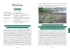 Buchcover und Innenansicht für das Buch: Das Gemüsegarten 1 x 1